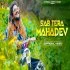 Sab Tera Mahadev - Hansraj Raghuwanshi Poster